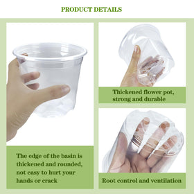 CXIIPOL clear pot 5inch pack highlighting transparent walls for observation