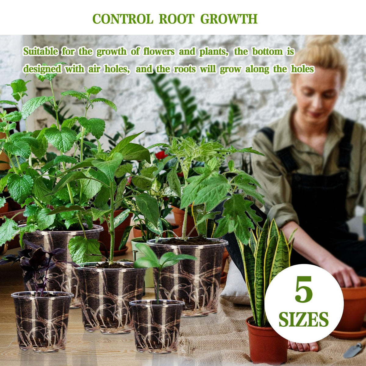 CXIIPOL clear pot 7inch pack enabling larger plant displays with visibility