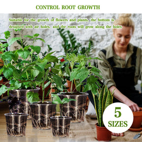 CXIIPOL clear pot 7inch pack enabling larger plant displays with visibility