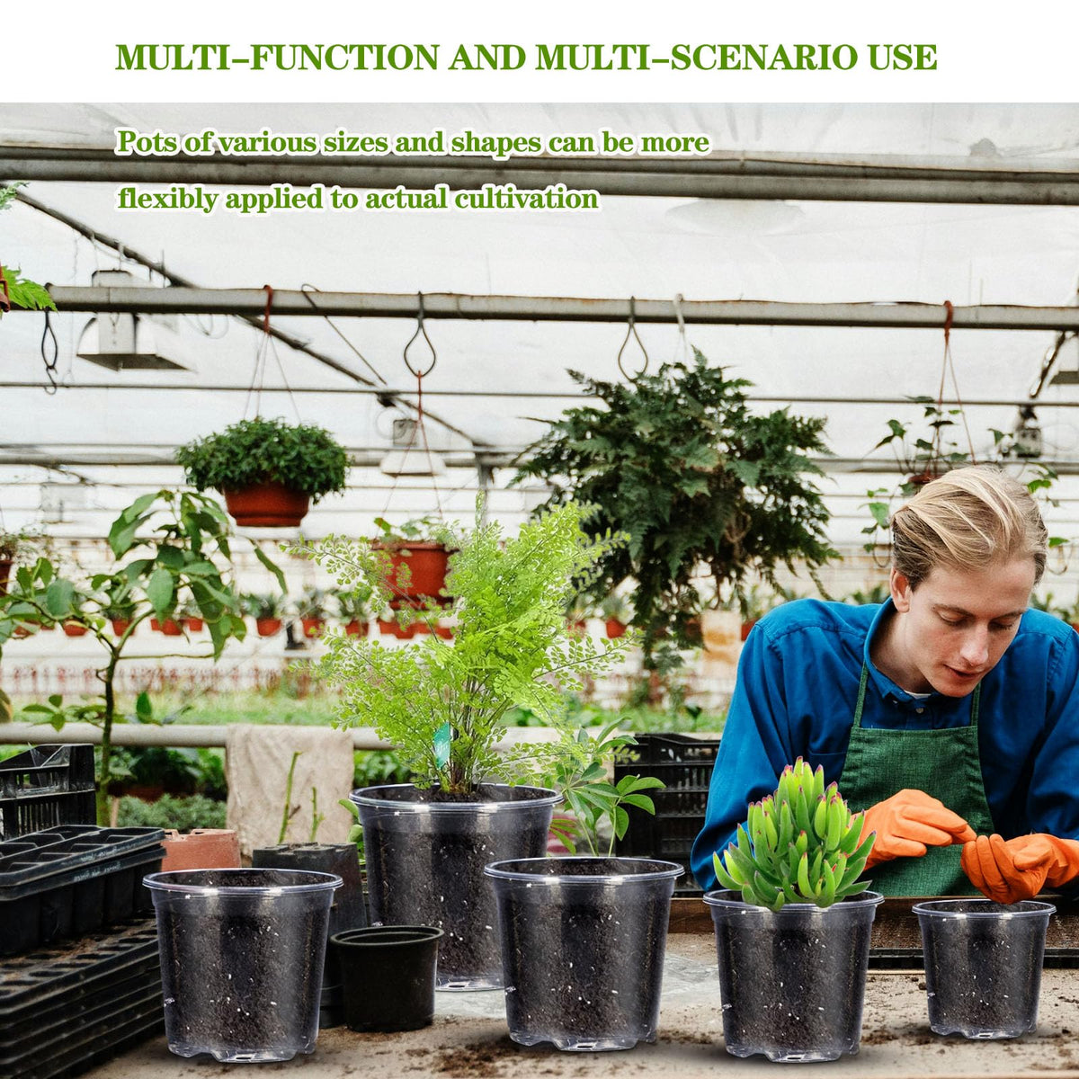 CXIIPOL clear pot multi-size set illustrating versatile plant options