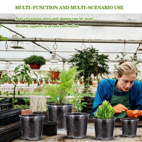 CXIIPOL clear pot multi-size set illustrating versatile plant options