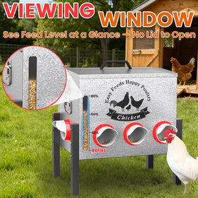 Cybrasc no-spill design prevents waste while chickens eat.