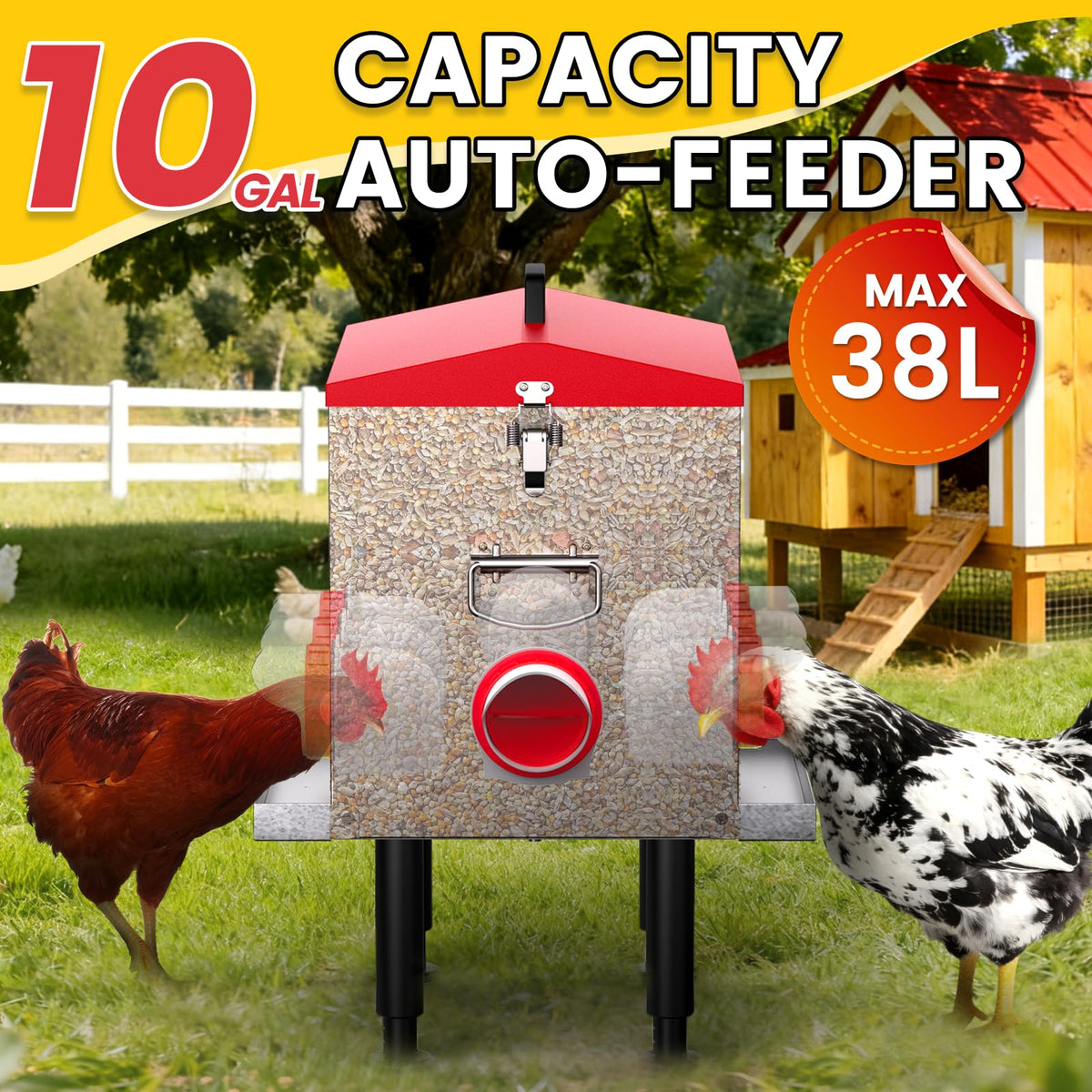 Cybrasc outdoor coop feeder designed for medium to large flocks