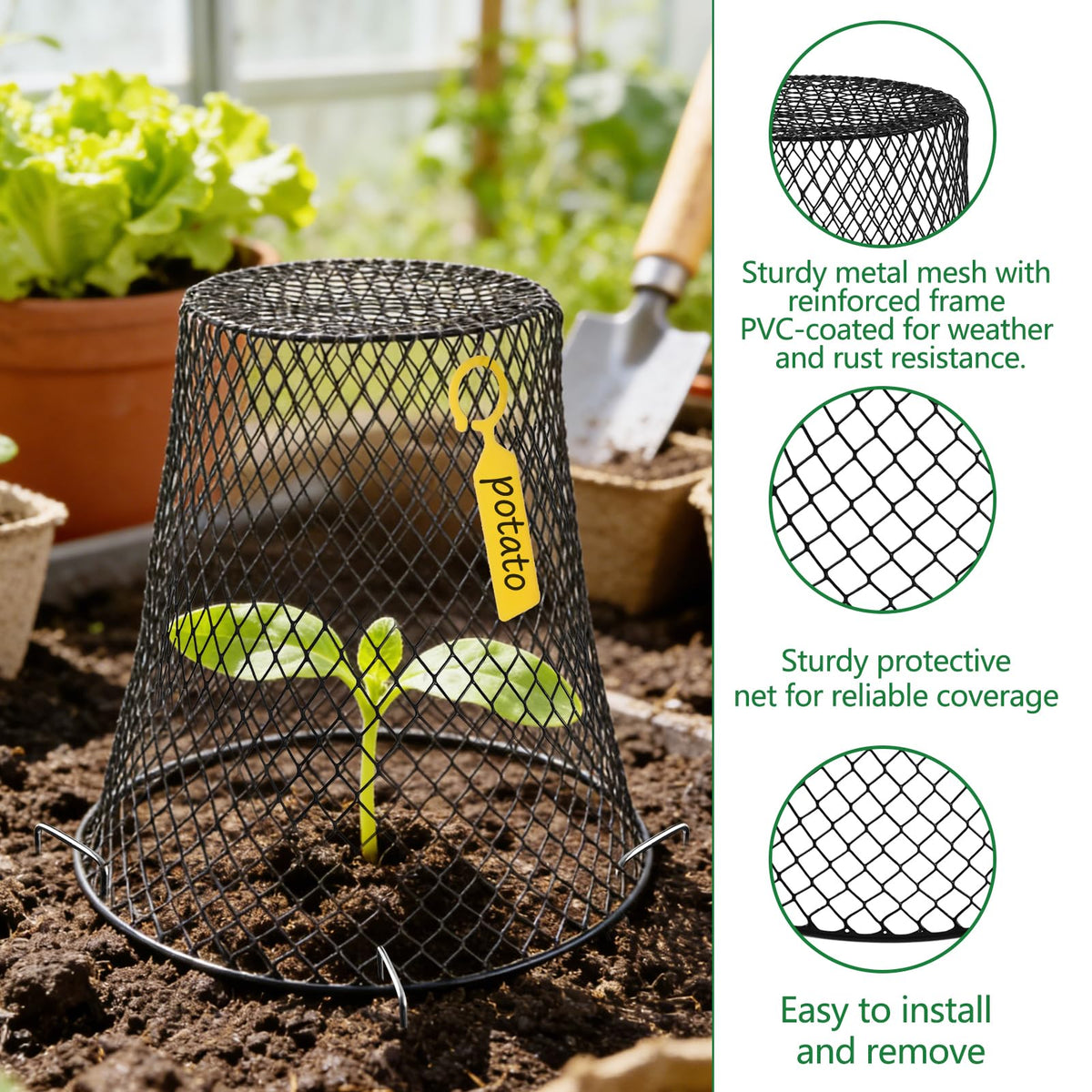 Cyrico breathable mesh cover allows rain and sun to pass through.