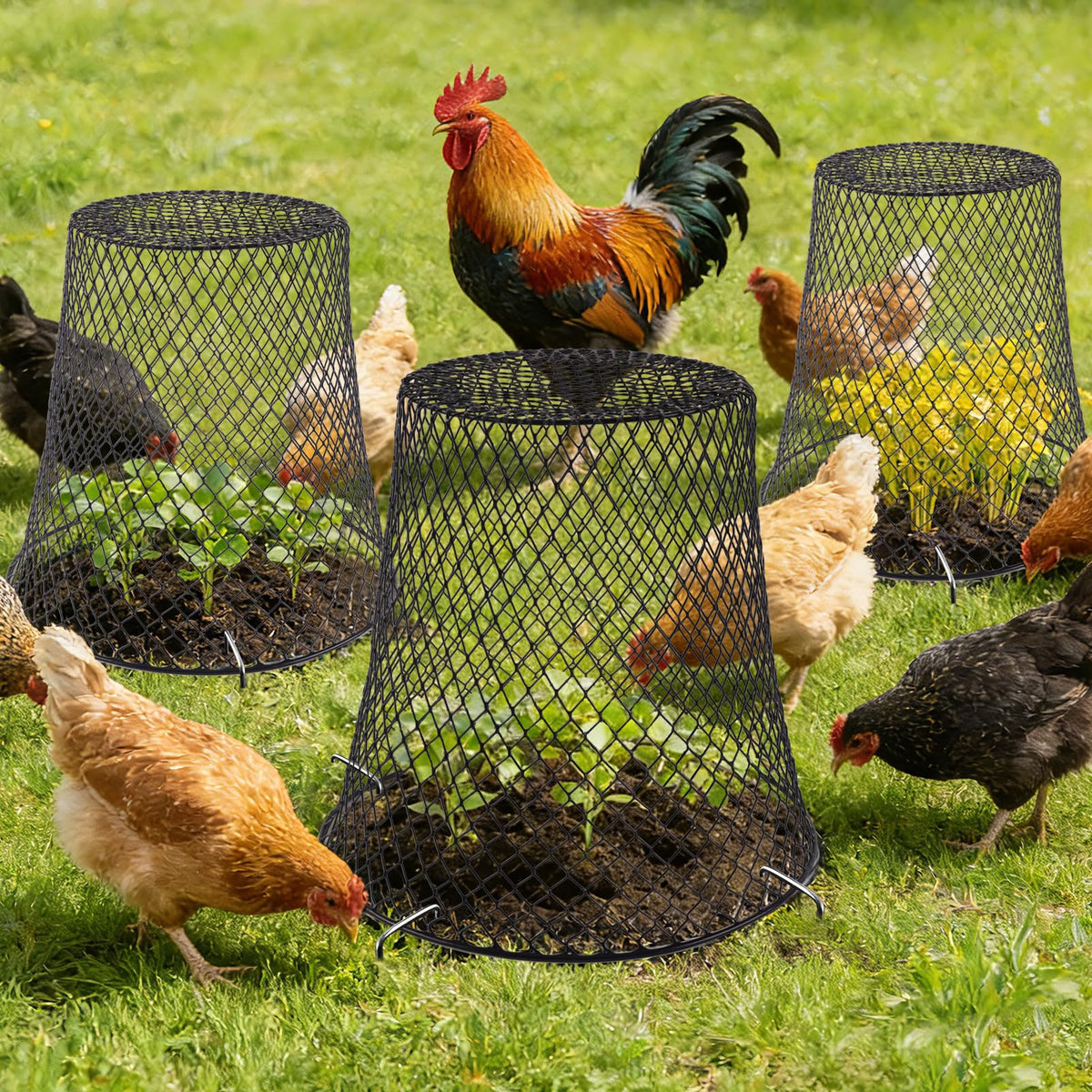 Cyrico 12-pack plant protectors for multiple beds or containers.