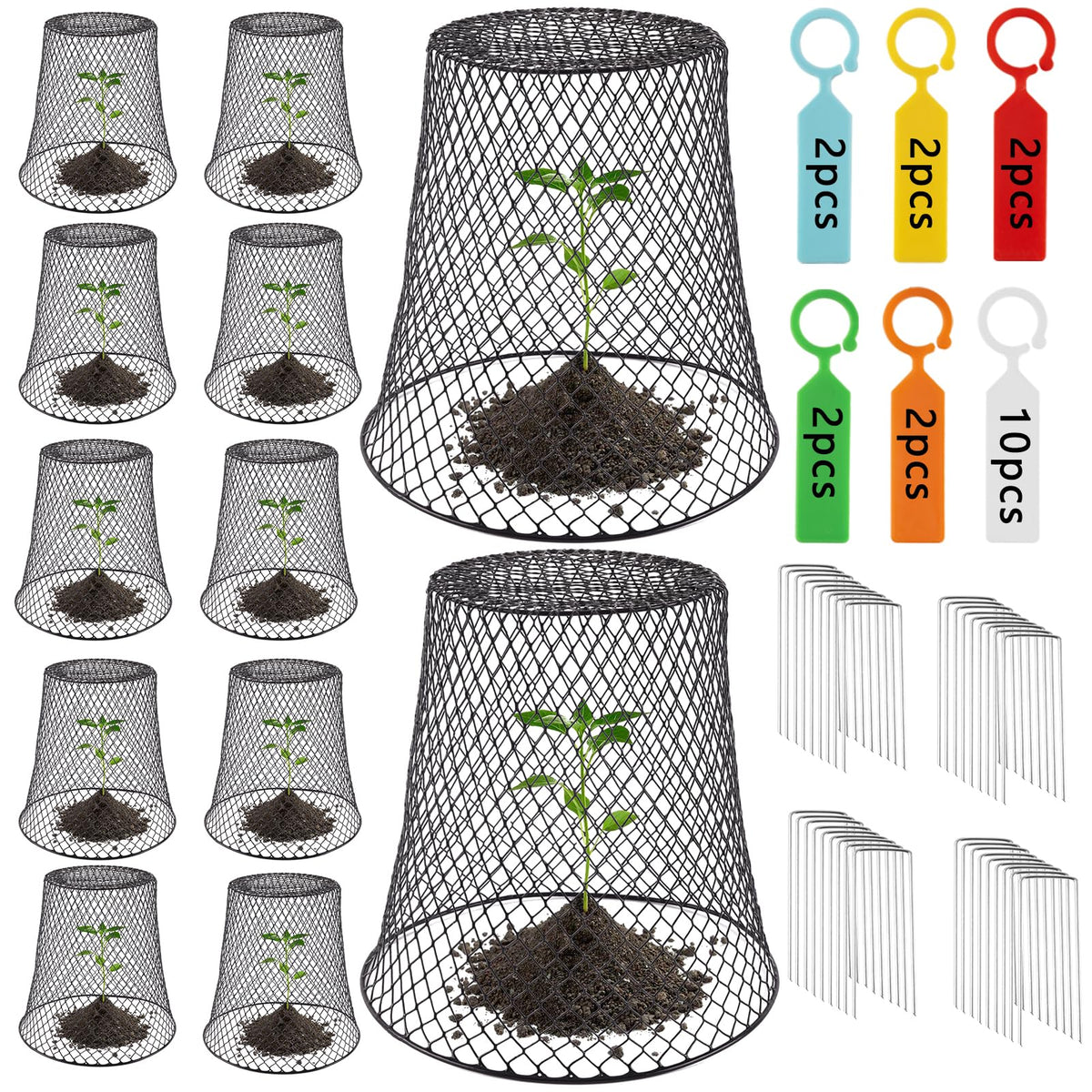 Cyrico Plant Protectors shield seedlings from rabbits while letting light reach plants.