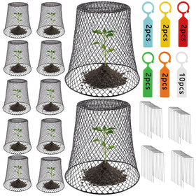 Cyrico Plant Protectors shield seedlings from rabbits while letting light reach plants.