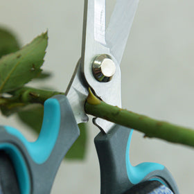 CYRUS Flower Scissors thorn removal hole enables safe thorn stripping