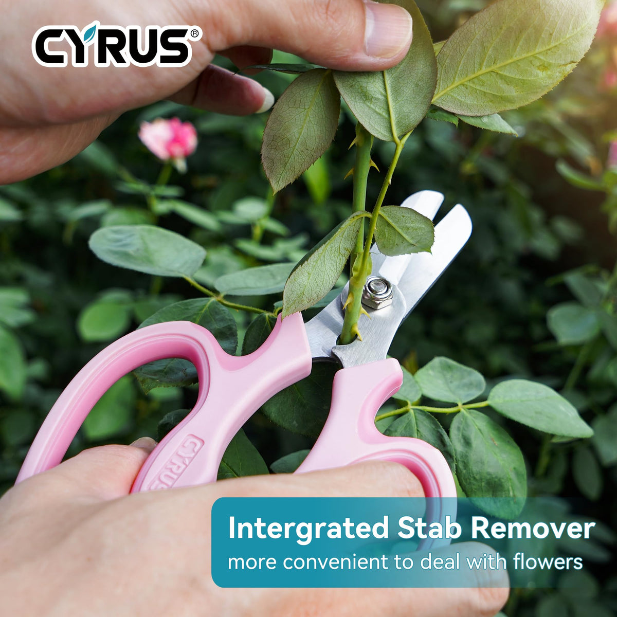 CYRUS one-piece molding strengthens the body for long-term durability.