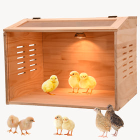 Cyzarize Brooder Box front view with clear panels for easy chick observation.