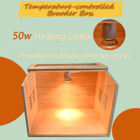 Cyzarize Brooder Heater setup shows rapid preheat and adjustable warmth.