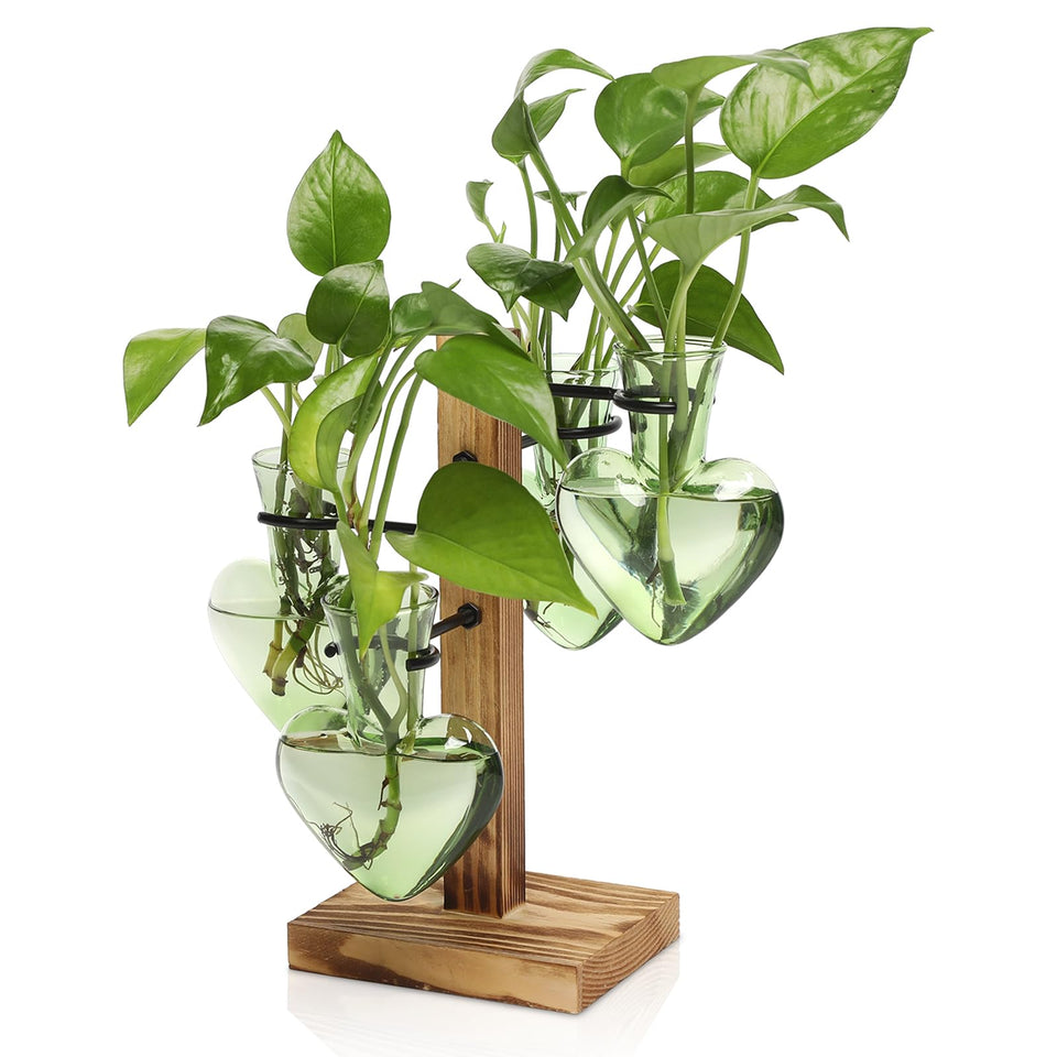 CYZglass 4 Love Bulb Vase on wooden stand for elegant propagation.