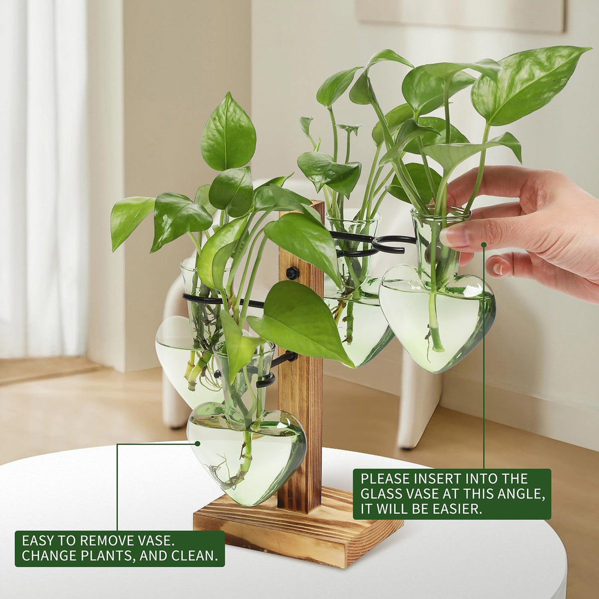 CYZglass 4 Love bulb vase with C-shaped hangers enables flexible layouts.