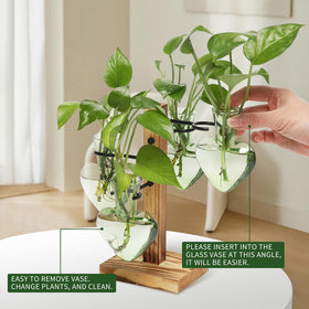 CYZglass 4 Love bulb vase with C-shaped hangers enables flexible layouts.