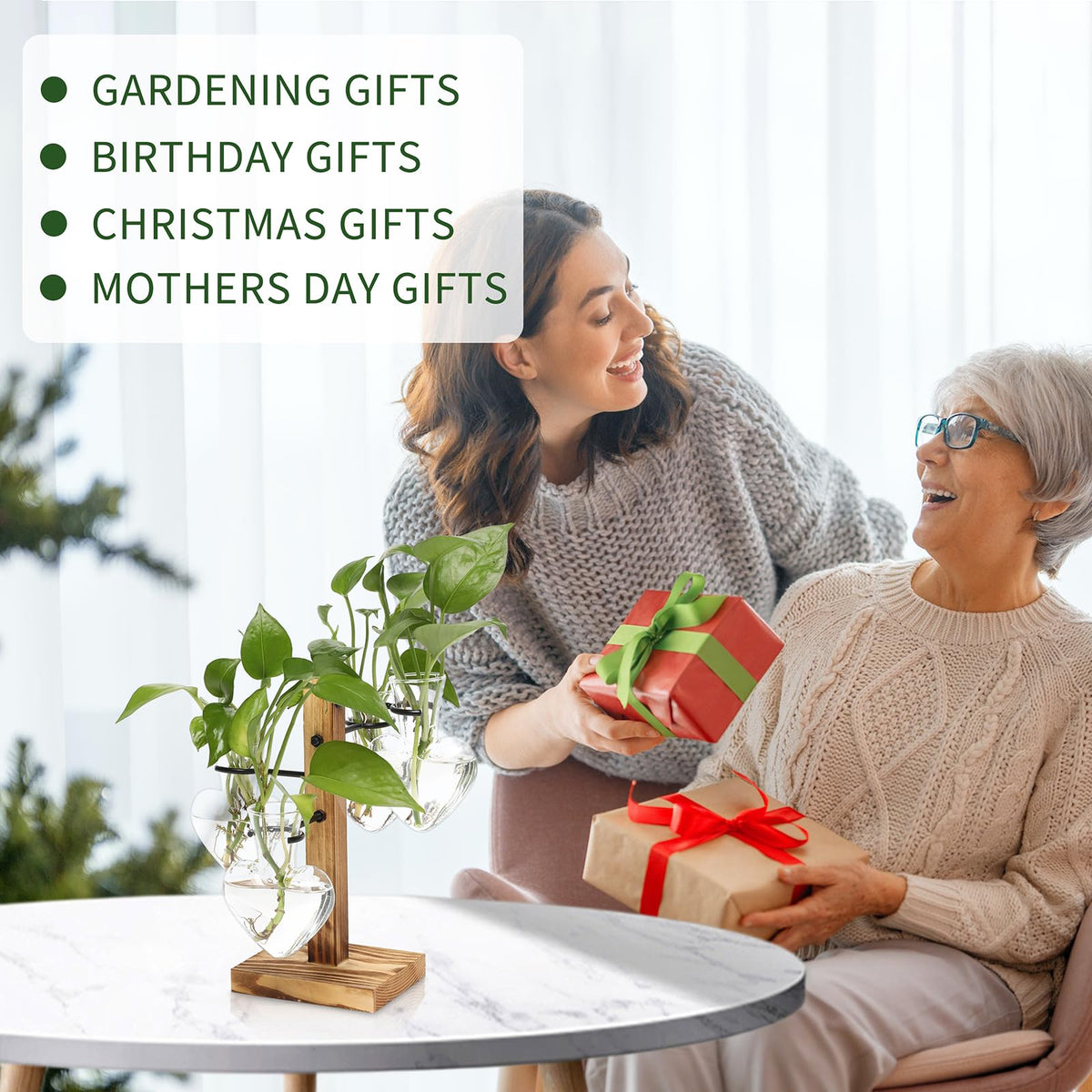 CYZglass ideal gift for plant lovers on special occasions.