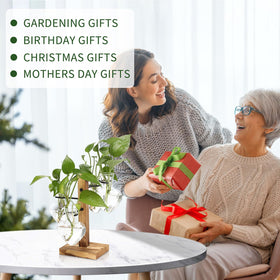 CYZglass ideal gift for plant lovers on special occasions.
