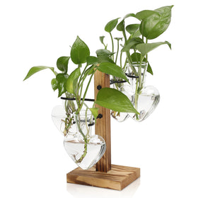 CYZglass plant terrarium stand with glass vase for stylish indoor display.