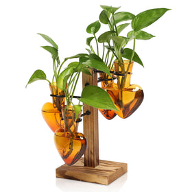CYZglass propagation station on a wooden stand for stylish indoor greenery