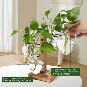 CYZglass wooden stand complements any decor while supporting compact propagation.