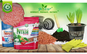 Cz Garden Indoor-outdoor plants use demonstrates versatile potassium care.
