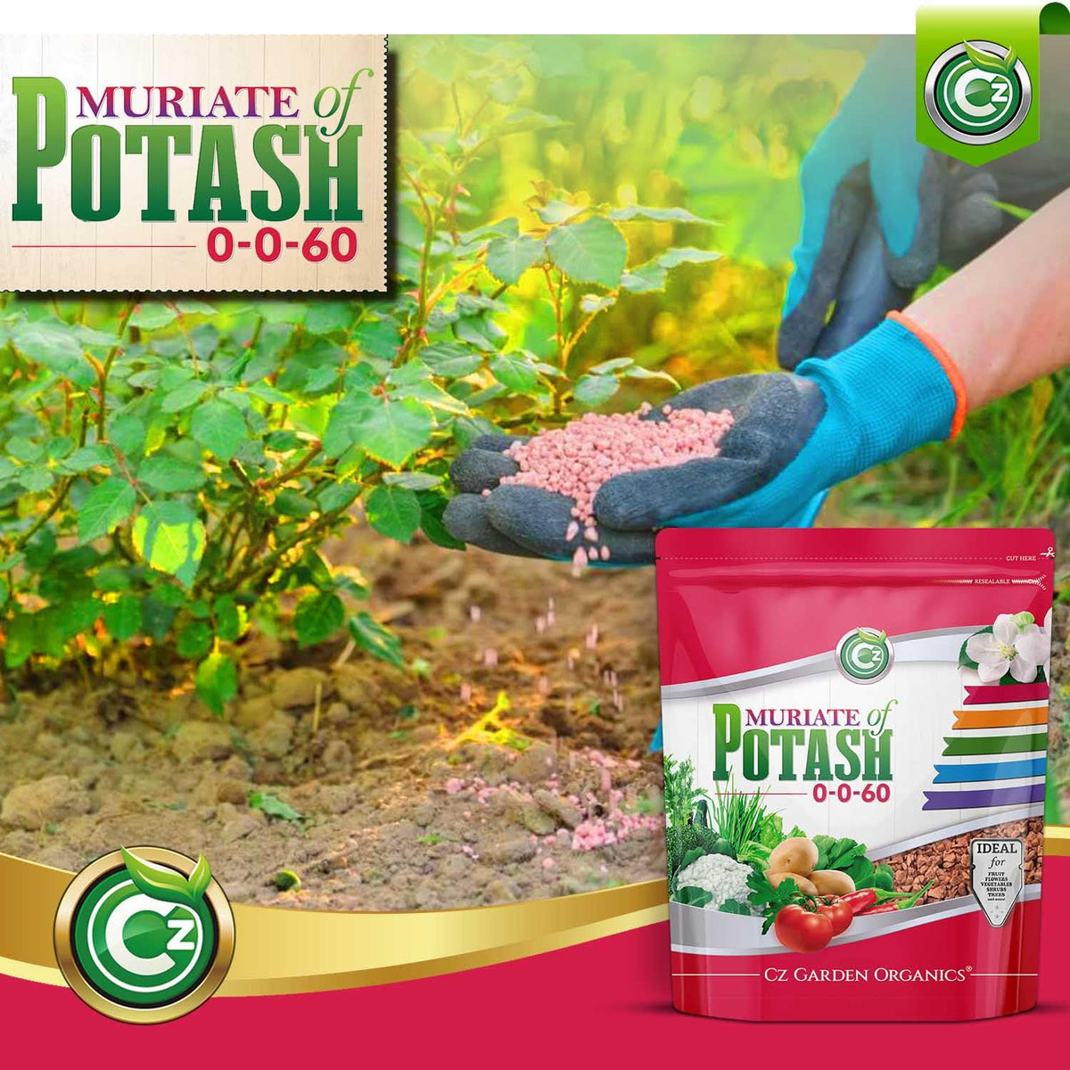 Cz Garden Potassium Plant Food suggests fruit-density potential for edibles.