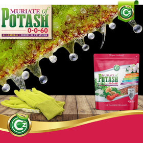 Cz Garden Premium-organics brand signals high-quality soil amendments.
