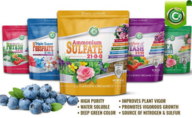 Cz Garden AMS indoor plants illustration highlights versatile plant nutrition.