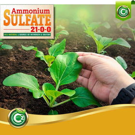 Cz Garden AMS for vegetables and gardens boosts green leafy growth.