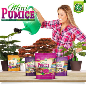 CZ Garden Supply Pumice Stone bonsai setup promotes drainage and root stability