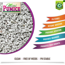 CZ Garden Supply Pumice Stone close-up texture showing porous surface for drainage
