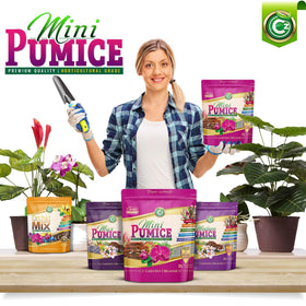 CZ Garden Supply Pumice Stone drainage scene in potting mix