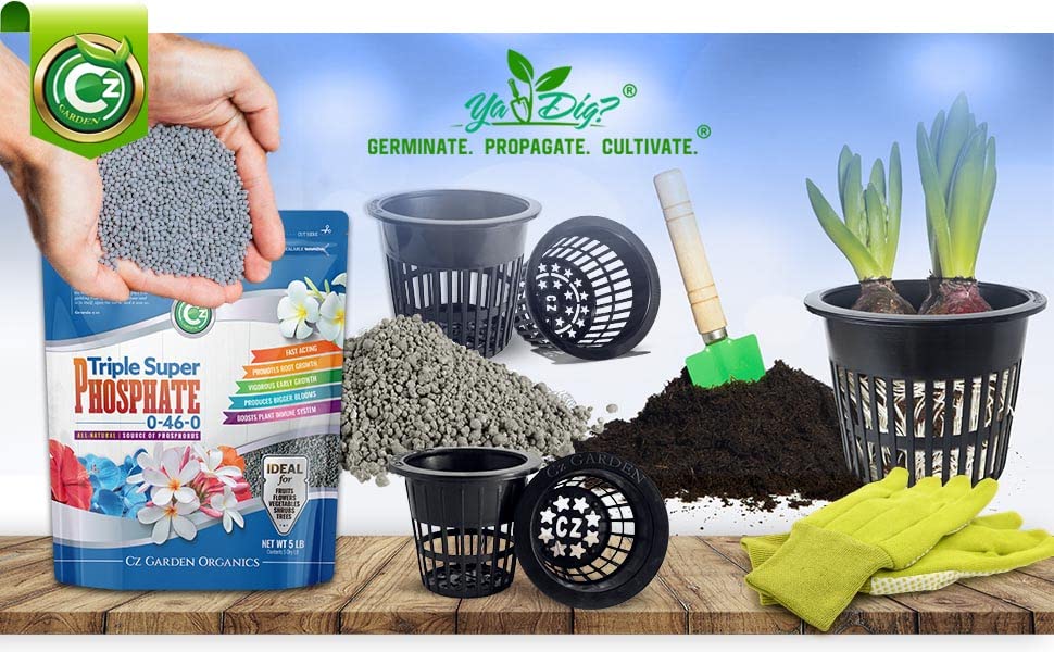 Cz Garden Supply indoor plants setup for houseplants and herbs.