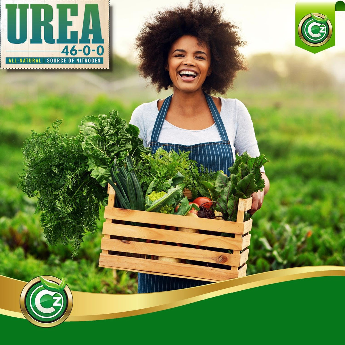 Cz Garden Urea 46-0-0 shown with indoor flowering plants for vibrant blooms