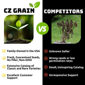 CZ Grain Boston Ivy thriving in varied soils offers versatile garden coverage