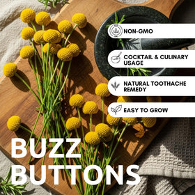 CZ Grain Buzz Button edible-flowers-cluster for culinary experiments.