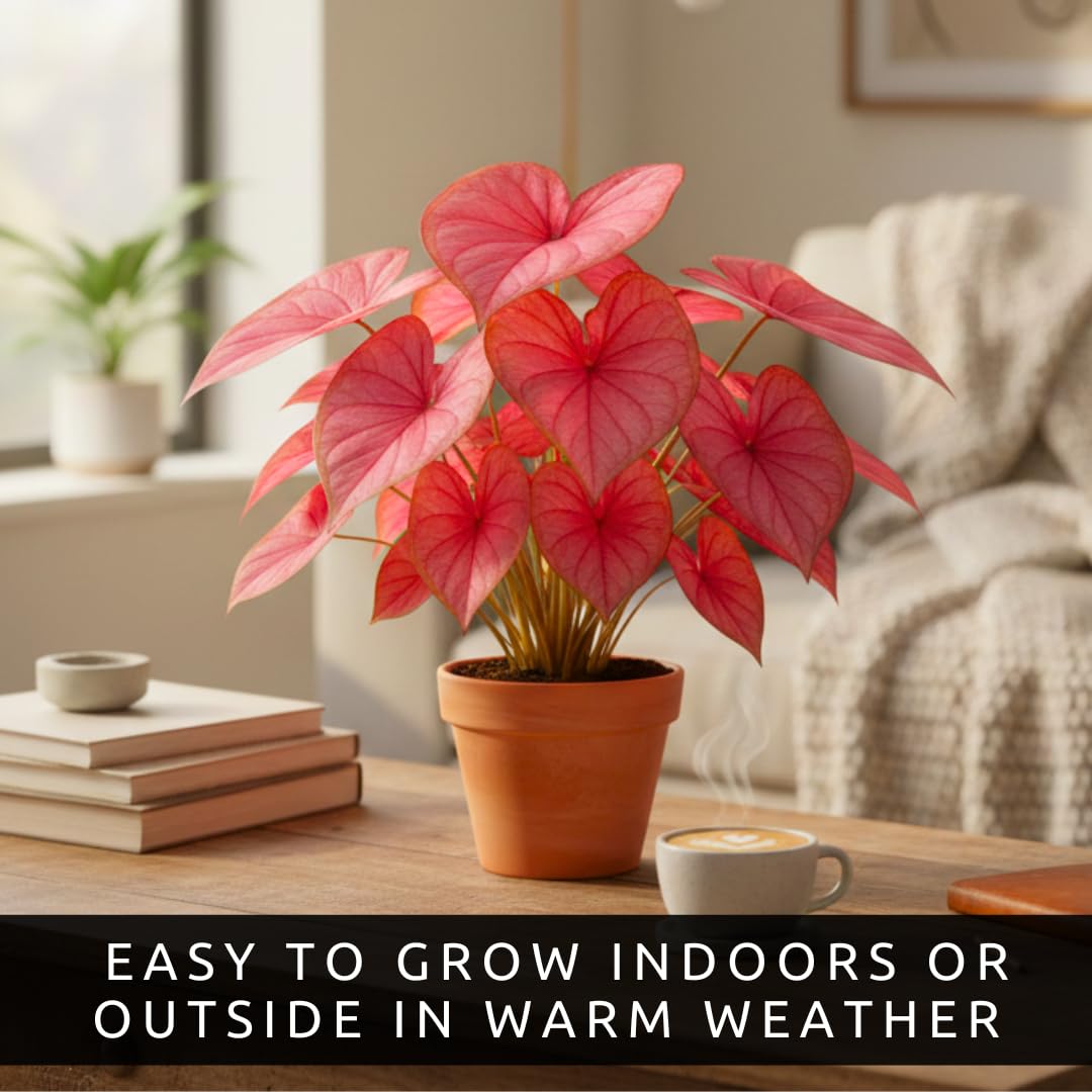 CZ Grain copper-veins on salmon-pink leaves for garden focal points
