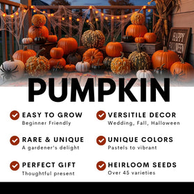 CZ Grain Exotic rare seeds ideal as a thoughtful garden gift