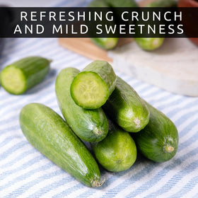 CZ Grain Mini Me cucumber harvest in a basket showcases fresh garden produce.