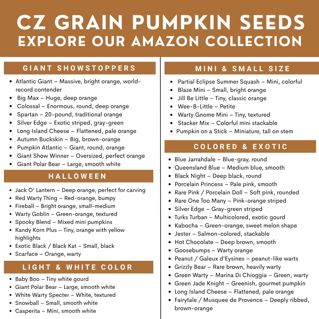 CZ Grain Non-GMO seeds support healthy germination and vigor
