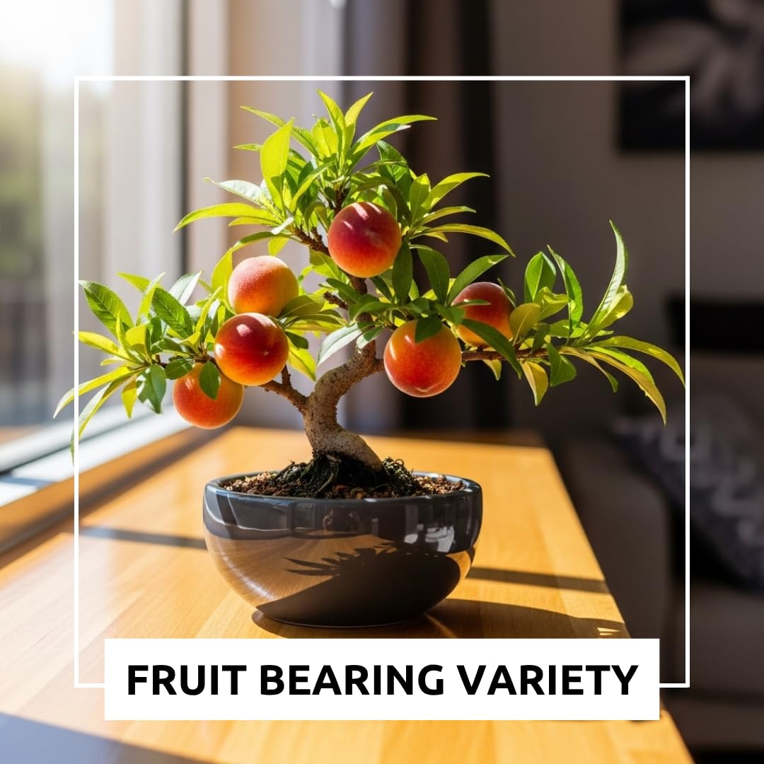 CZ Grain Peach fruit on a tiny bonsai tree
