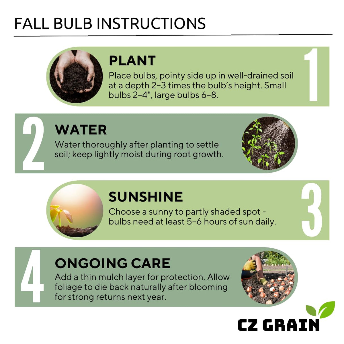 CZ Grain satisfaction guarantee accompanies authentic, high-quality caladium bulbs.