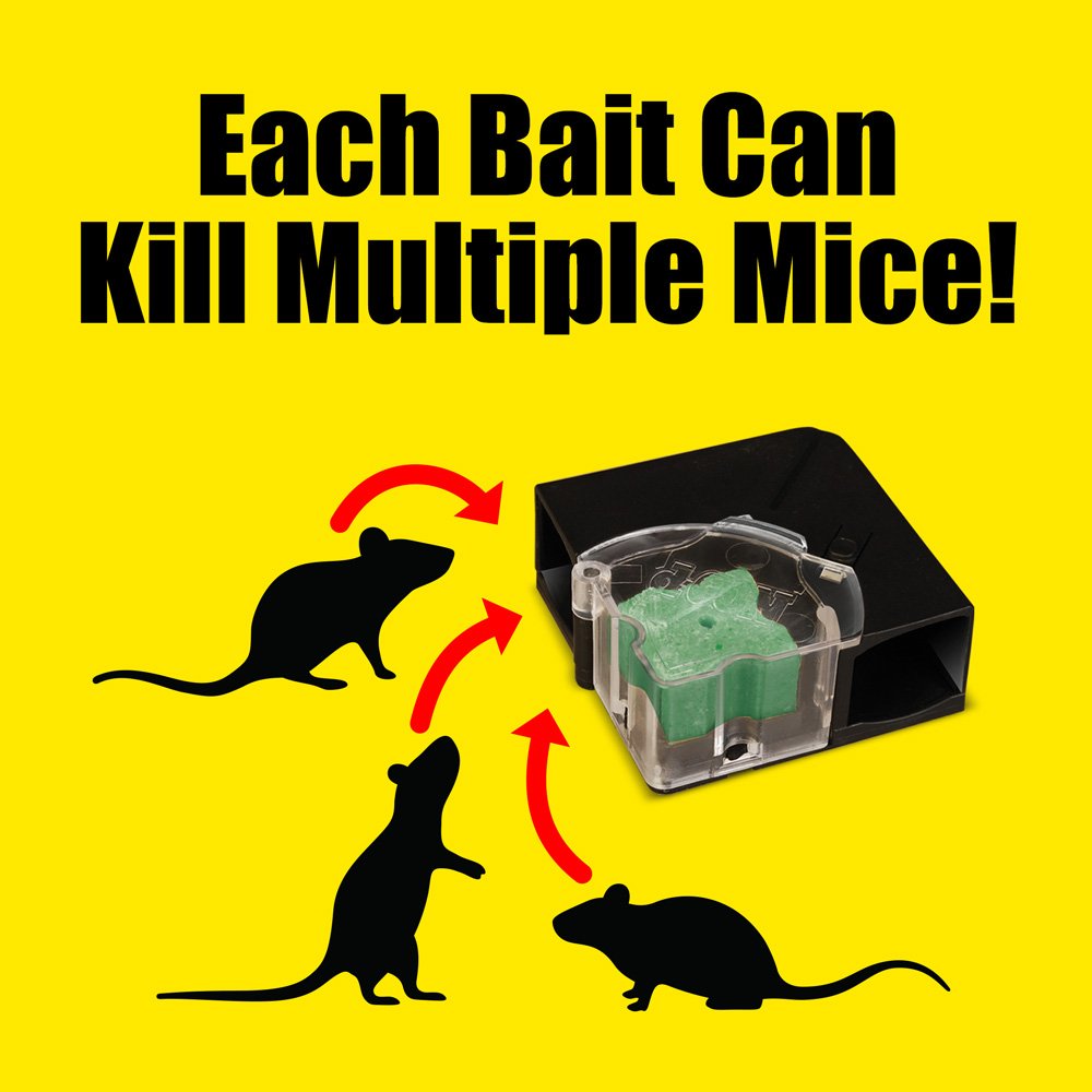 Trusted pest control brand with over 60 years of experience