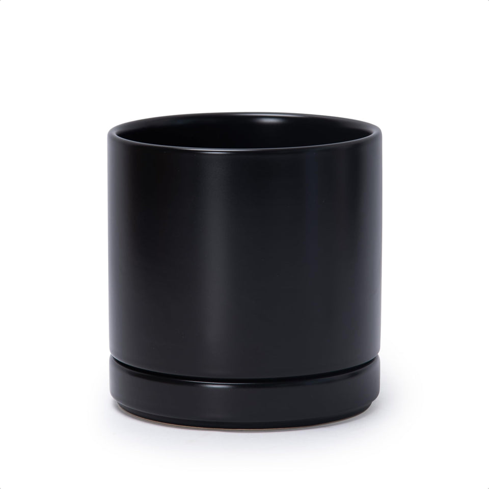 D'vine Dev 6.5-inch ceramic planter with drainage hole and saucer for tidy watering