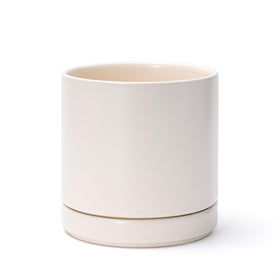 D'vine Dev 6.5-inch ceramic planter pot with drainage hole for healthy plants.