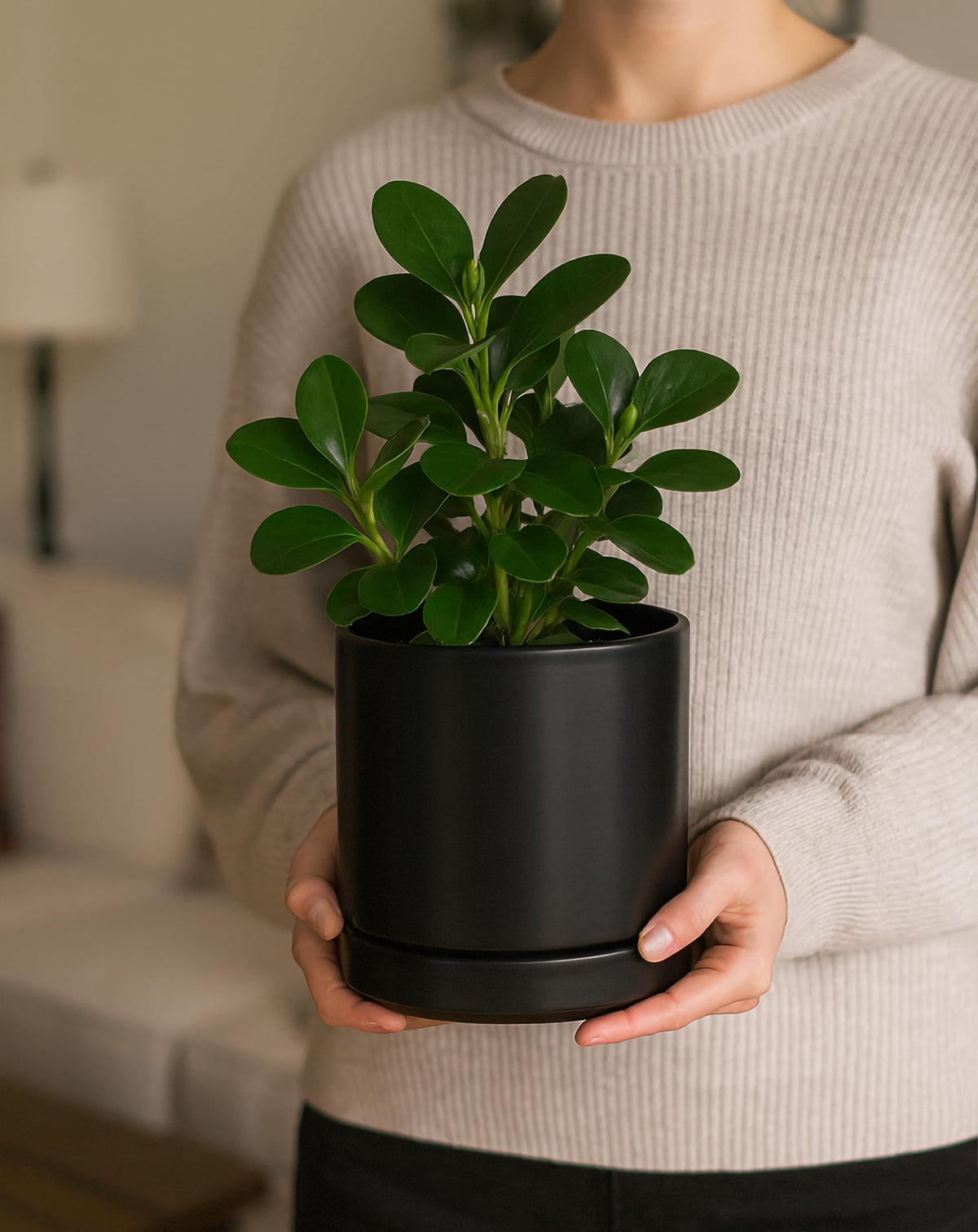 D'vine Dev black cylindrical planter enhances modern indoor decor