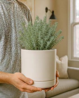Close-up of the oatmeal glaze on the D'vine Dev planter.