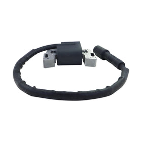 DABAZUALY ignition coil for BS series engines improves starting performance.