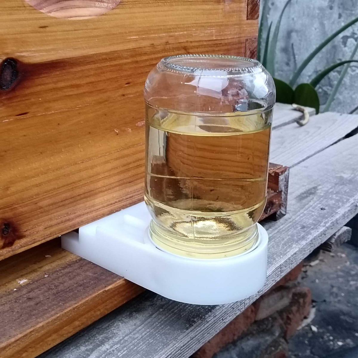 Dabkanna outdoor bee feeder installation for steady garden feeding