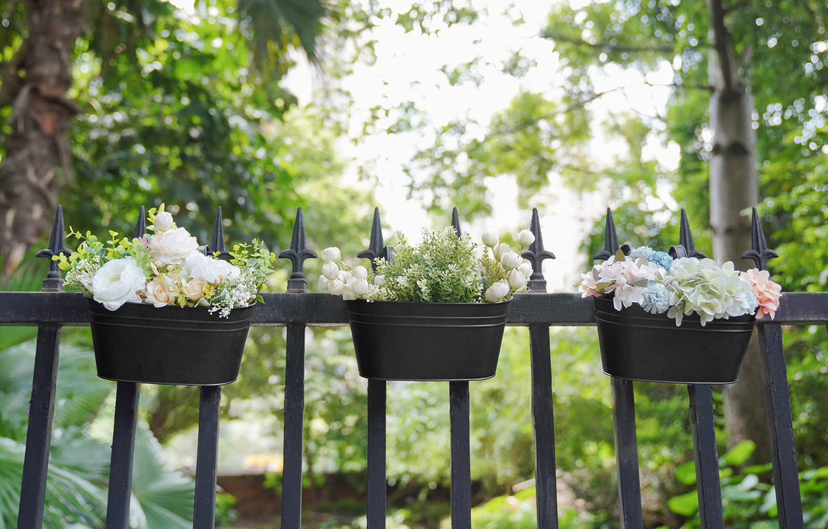 Dahey compact three-pack is ideal for herbs and small blooms on balconies.