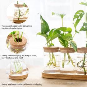 Dahey desktop plant vase enhancing home office decor